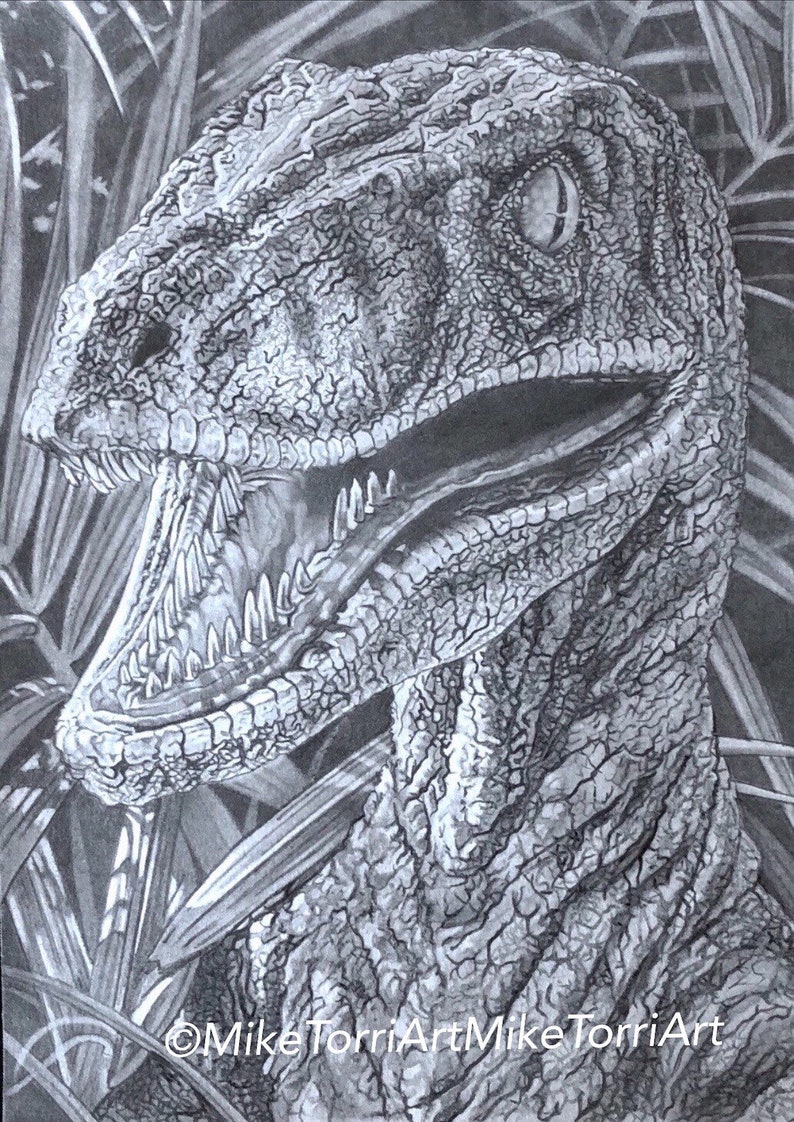I Rapter Head Drawing Raptor Pencil Drawing Print - Etsy