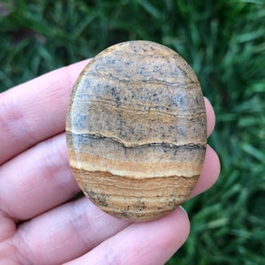 Picture Jasper Worry Stone - Palm Stone - Crystal Decor and Healing