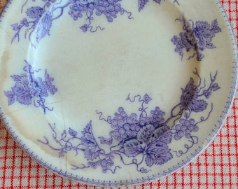 Stone China Collectible Plate James Edward's & Son, Dale hall. "VINE J.E." 1800s Antique China Plate