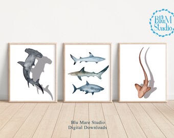 May include: Set of three watercolor shark prints featuring a hammerhead shark, a grey reef shark, and a brown thresher shark. Each print has a white background and a shadow of the shark.