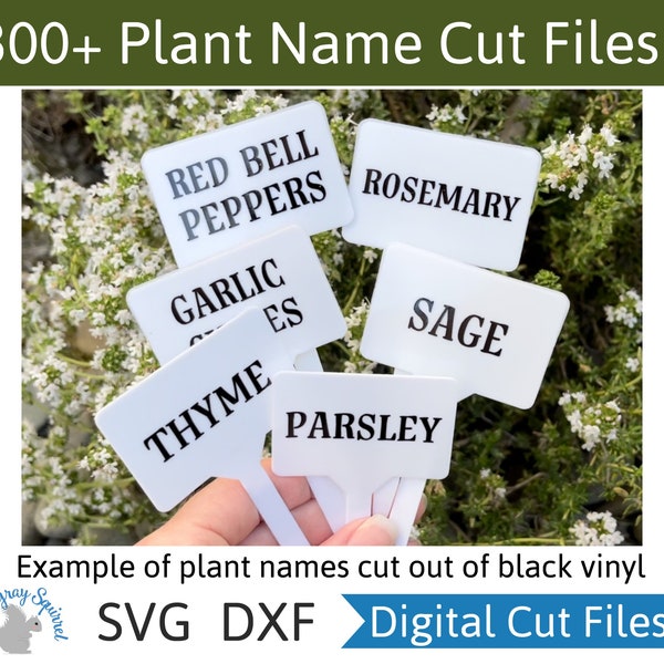 300+ Garden Name SVG Cut Files - Fruit Vegetable Herb Names and Varieties DIY Plant Markers Garden Stakes