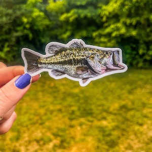 Bruce the Bass