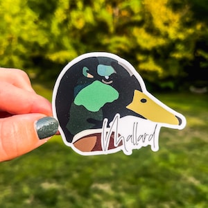 Ducks
