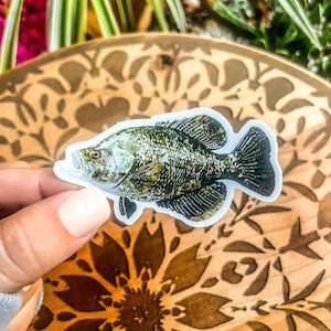Carl the Crappie