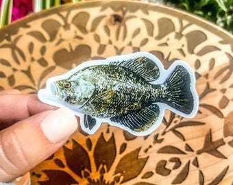 Carl de Crappie