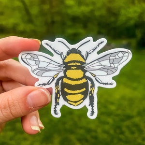 Bumblebee