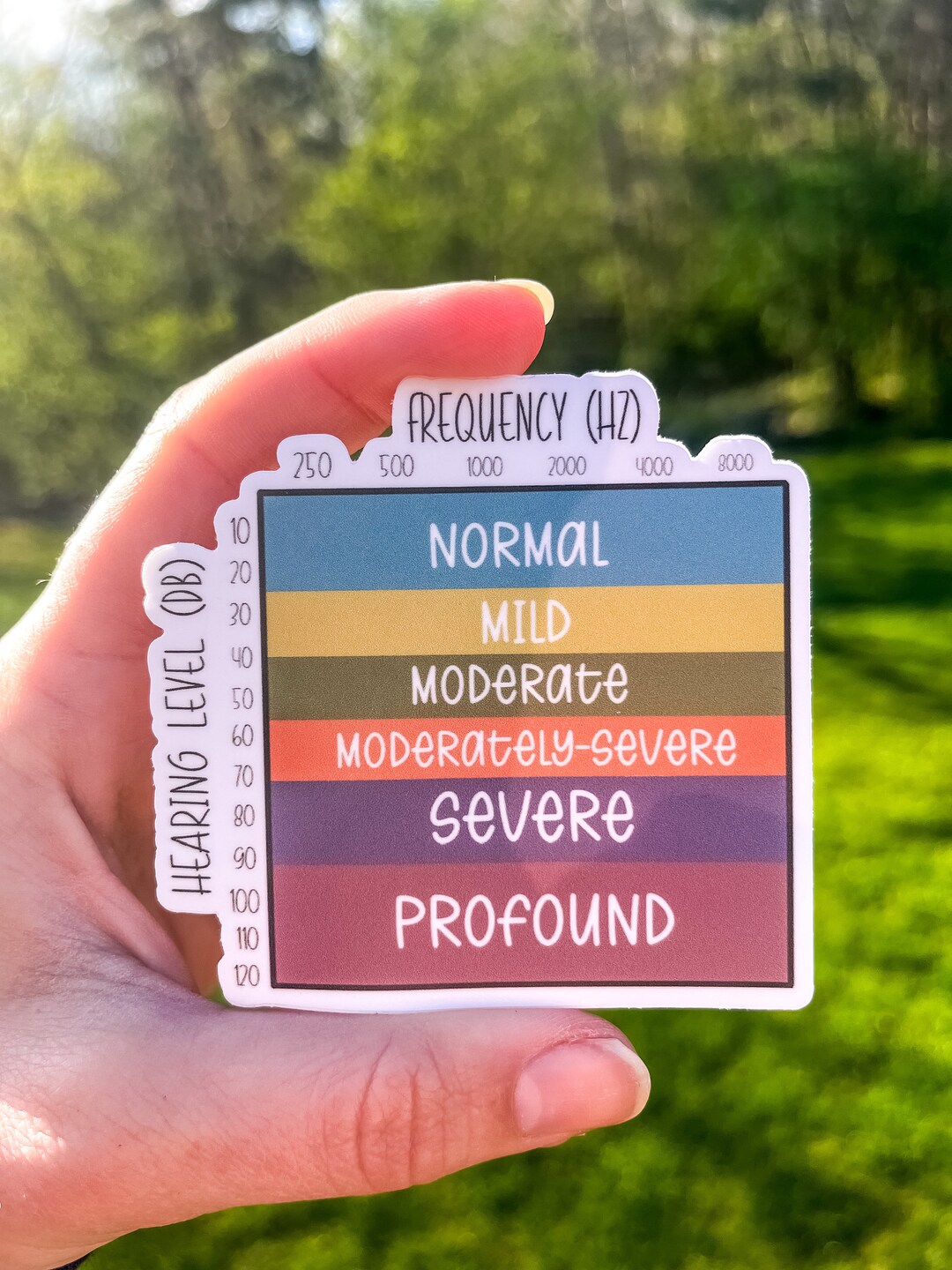 The Audiogram - Etsy