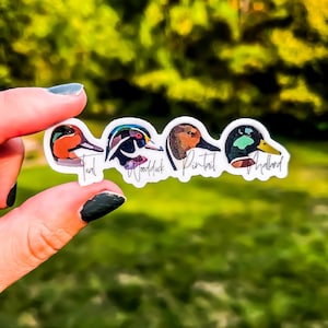 Ducks in a Row