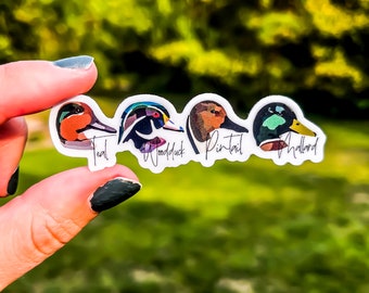 Ducks in a Row