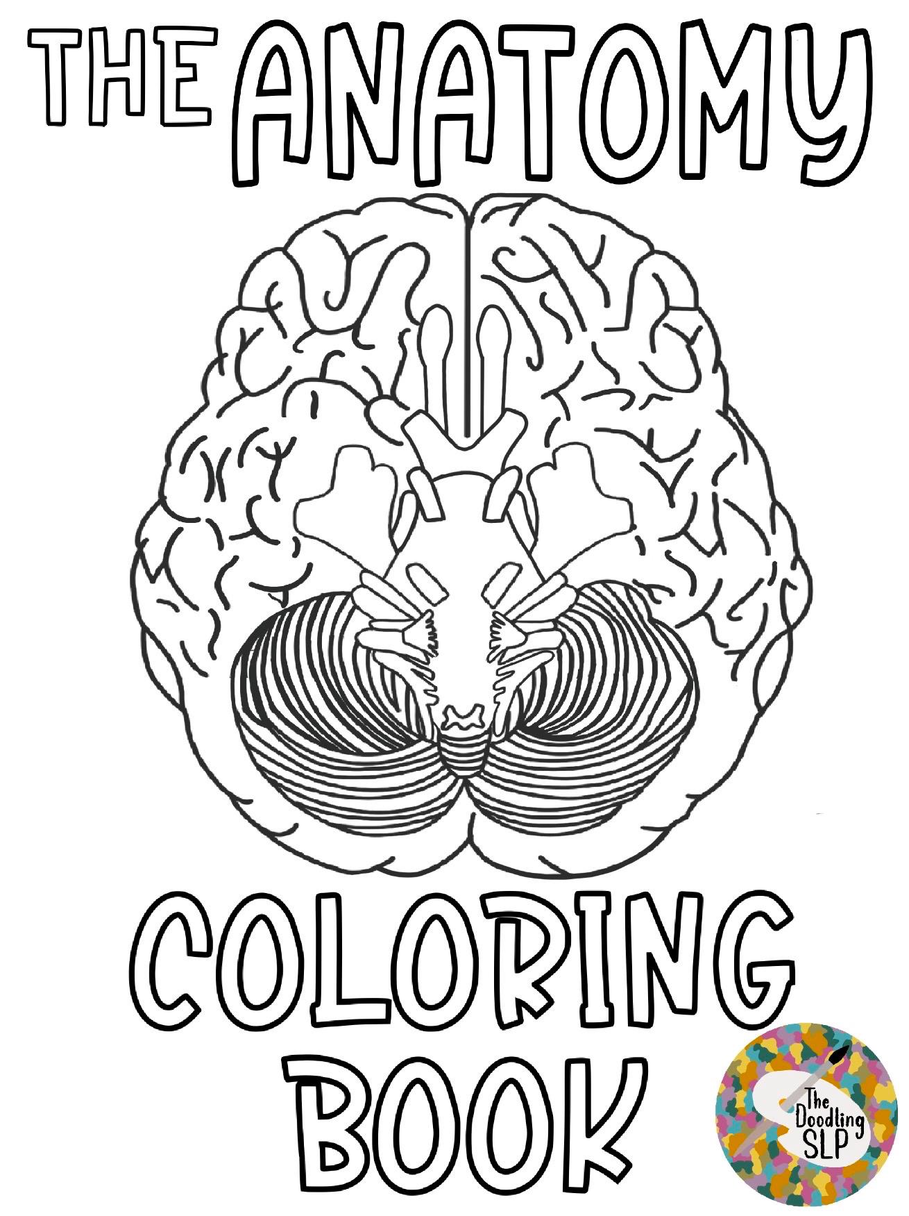 The Anatomy Coloring Book - Etsy