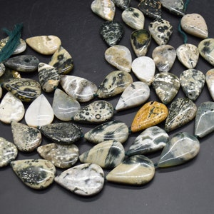 May include: A strand of teardrop-shaped, natural gemstone beads. The beads are a mix of white, grey, black, and brown with a speckled pattern. The beads are strung on a green cord.