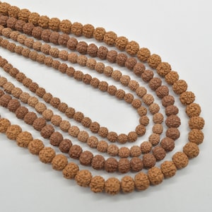 Rudraksha Seed Rondelle / Barrel Wood Beads - 114 beads - Mala Prayer Beads - 7mm, 8mm, 9mm, 11mm