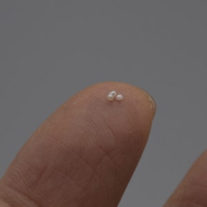 Perles de perles d&#39;eau douce - Petites perles presque rondes - Pas de trou - 1 mm - Nombre de 10 - Pour la fabrication de bijoux - Collier bracelet à faire soi-même