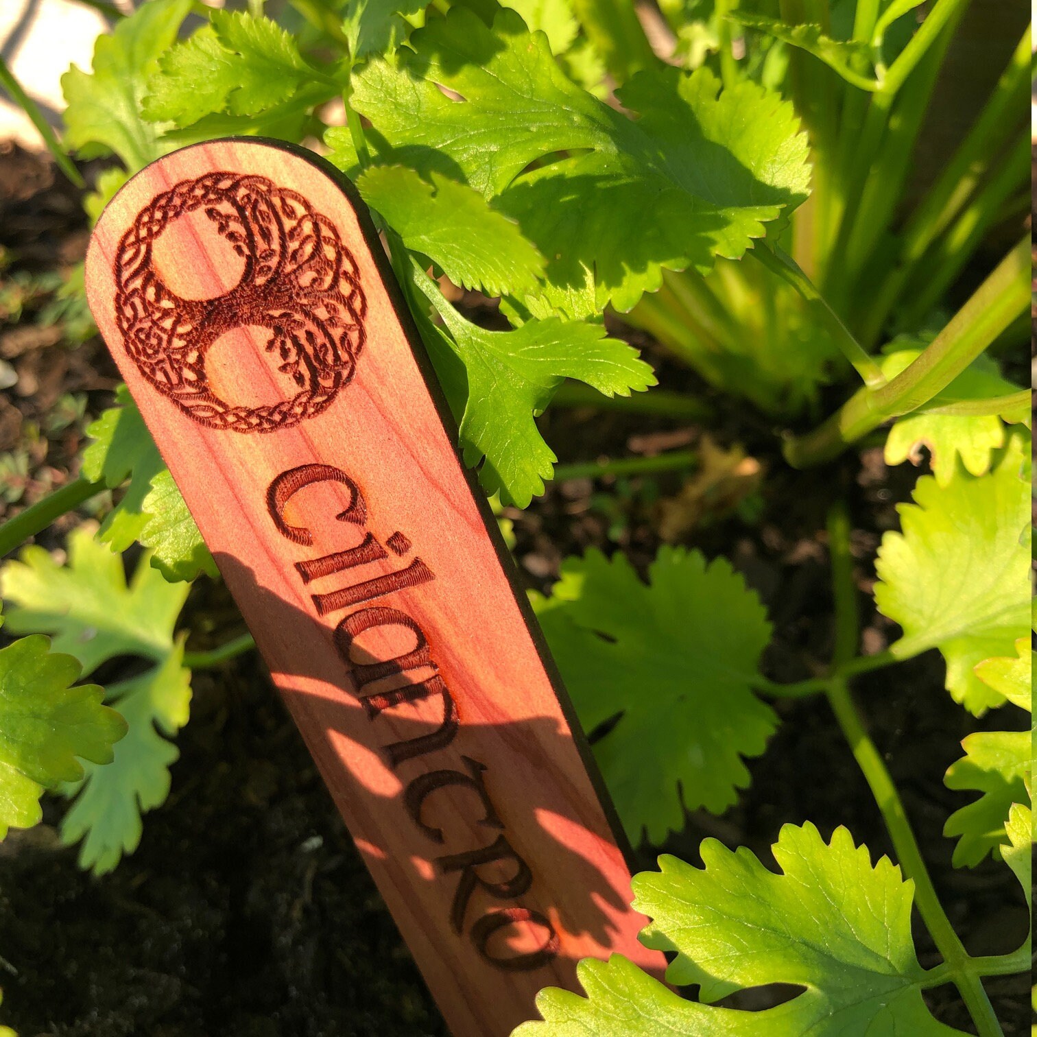 Celtic Ritual Markers Custom Celtic-themed Cedar Garden Markers/stakes - Etsy