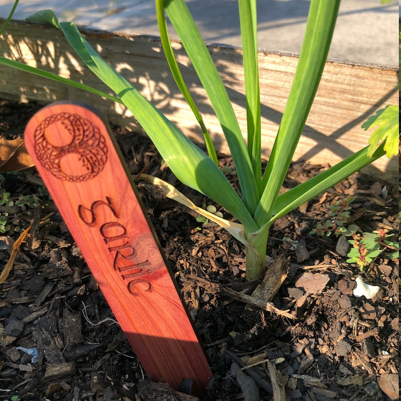 Celtic Ritual Markers Custom Celtic-themed Cedar Garden Markers/stakes - Etsy