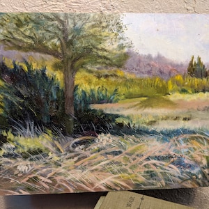 Plein Air Oil Painting Original Landscape with Tree