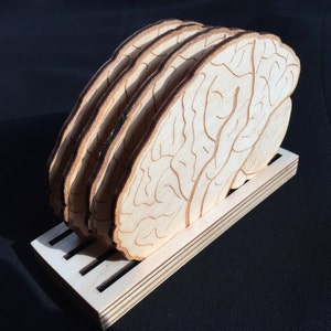 Gehirn Untersetzer 4er Set / Laser cut Holz - geätzt / Halloween / Drink Untersetzer / Baltic Birch / Präzisionsschnitt / Anatomie Untersetzer