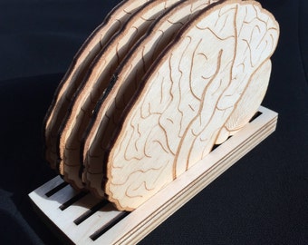 Laser Cut Brain Coasters - Set of 4 Baltic Birch Anatomy Coasters