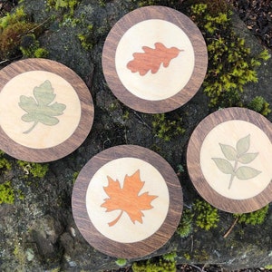 Leaf Leaves Wood Beverage Coasters Set of 4 in Stand / Precision Laser ...