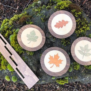 Leaf Leaves Wood Beverage Coasters Set of 4 in Stand / Precision Laser ...