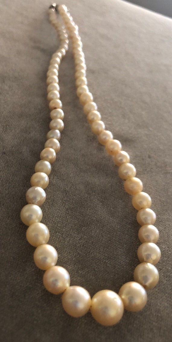 Vintage Genuine Gradual Child’s Pearl Necklace