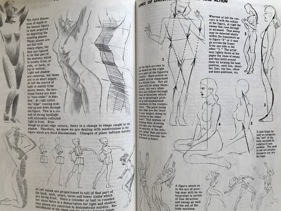 drawing the head figure by jack hamm vintage art book etsy like this item