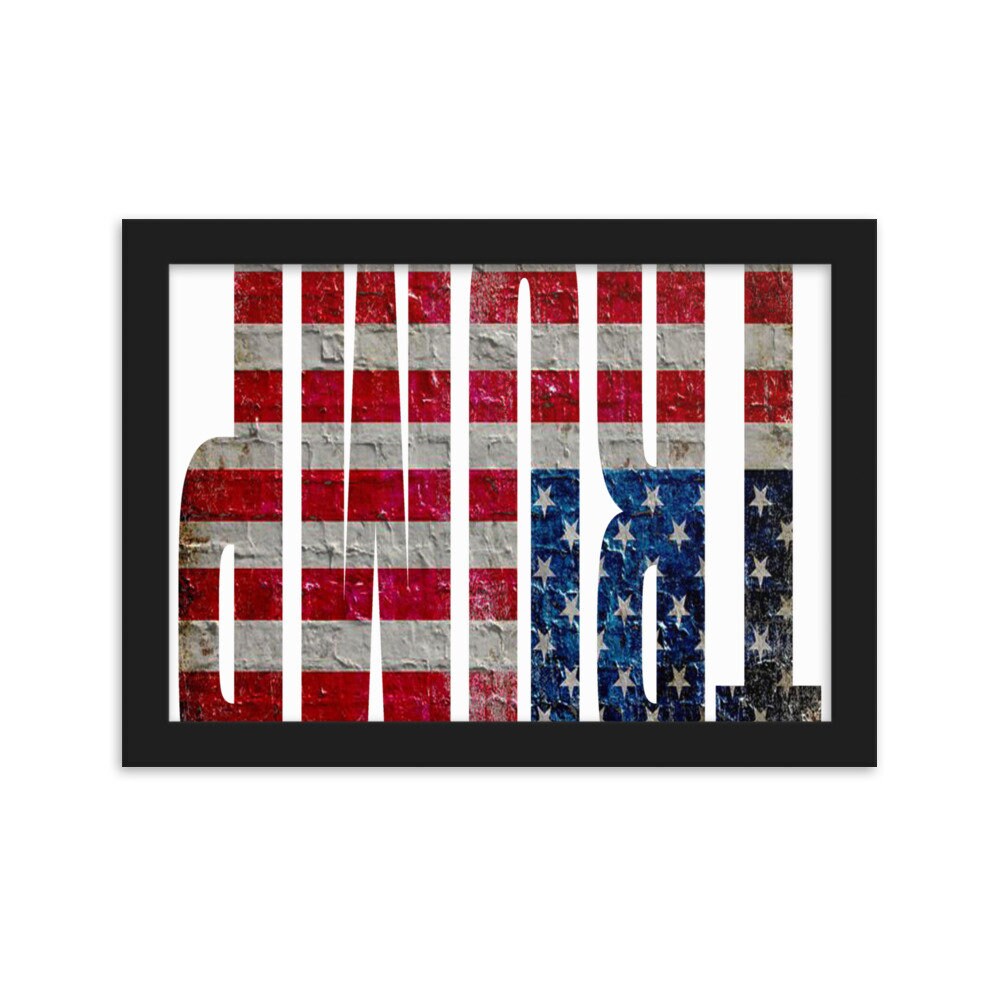 Funny Anti-Trump T-Shirt Tee Tees 2020 Upside Down Flag Framed matte paper poster
