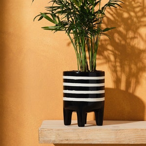 Puede incluir: Una planta en maceta con hojas largas y verdes en una maceta a rayas blancas y negras. La maceta tiene tres patas cortas y está colocada sobre una estantería de madera contra una pared naranja. La sombra de la planta se proyecta en la pared.