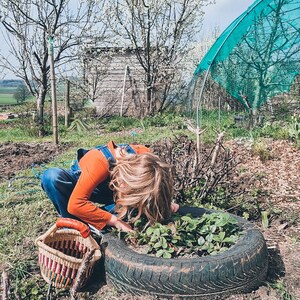 Op de afbeelding: Een persoon in oranje en blauwe kleding verzorgt een klein tuinbed gemaakt van een gerecyclede band. Het bed is gevuld met groene planten en is omgeven door groen gras. Een geweven mand met rode, blauwe en gele strepen staat op de grond naast de band.