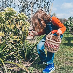 Op de afbeelding: Een kind dat blauwe jeans en een rood shirt draagt, houdt een geweven mand met een rode handgreep vast. Het kind kijkt naar een plant met groene bladeren.