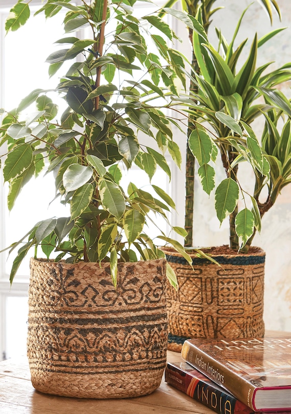 BAKAJI Fioriera Effetto Rattan Con Ganci E Anelli Per Balcone, Vaso