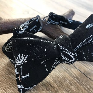 Gravata borboleta de dinossauro com gravata automática, estampa de dinossauro, presente de dinossauro, acessórios de dinossauro, roupa de casamento, acessórios de casamento, gravata borboleta com gravata automática
