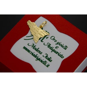 Pendant with gift box included.