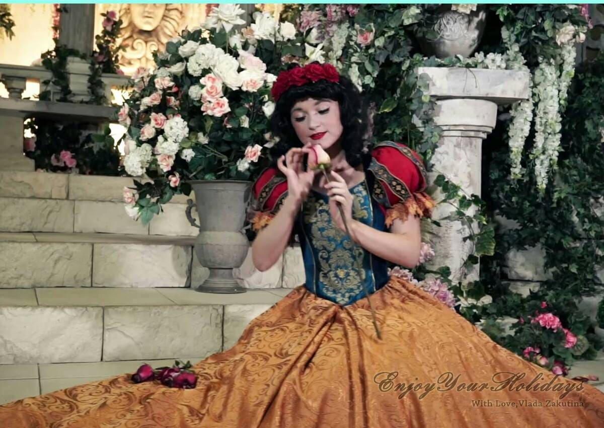 Adult Snow White Inspired Dress With Embroidery. Adult - Etsy Hong Kong