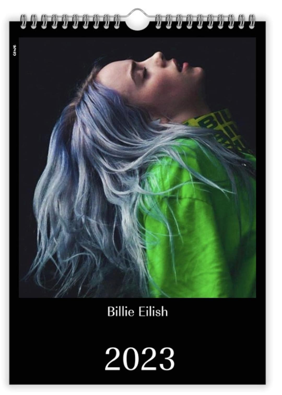 Billie Eilish A4 Wall Calendar 2023 Etsy