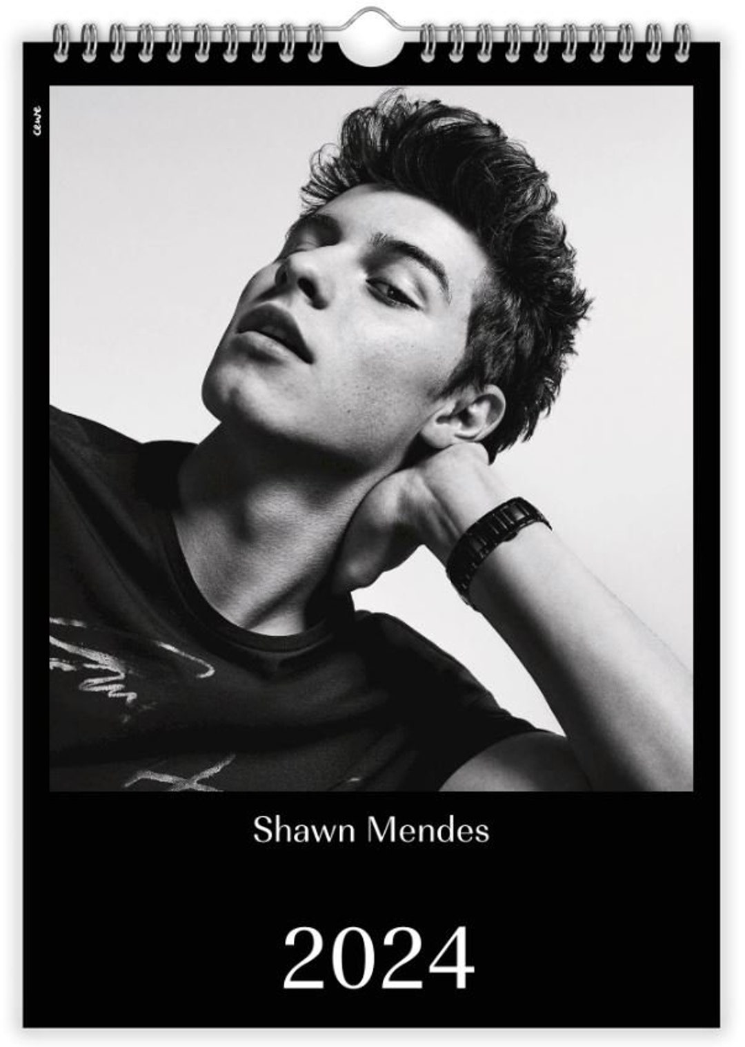 Shawn Mendes Calendar 2024 A4 Etsy