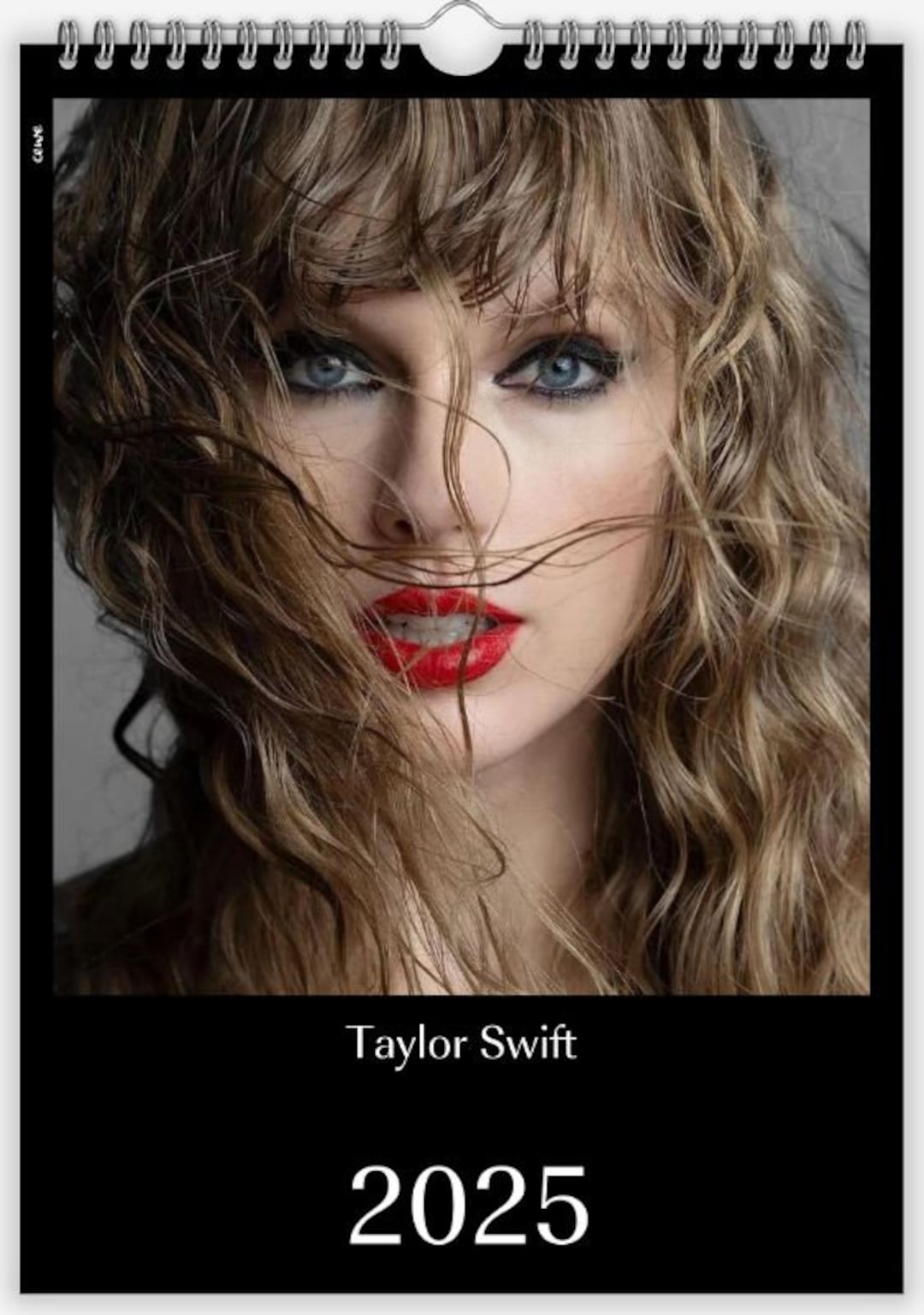 Taylor Swift OFFICIAL | 2025 7 x 14 Inch Monthly Mini Wall