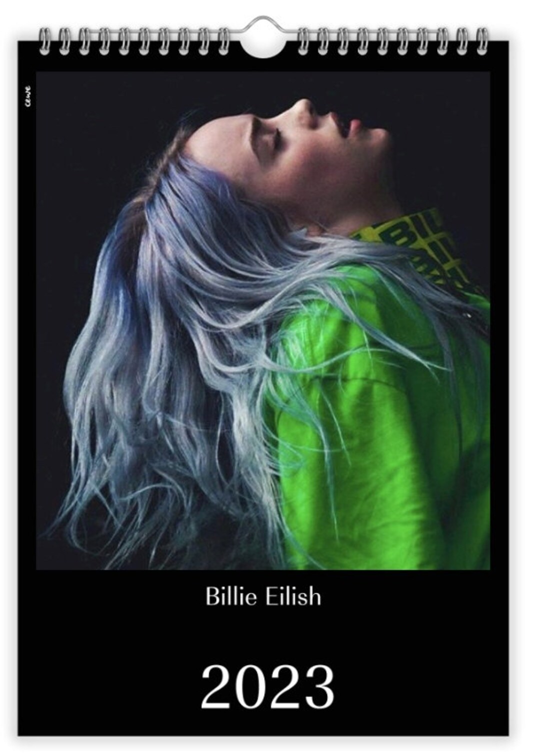Billie Eilish Calendar 2023 - Etsy