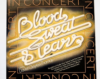 Blood, Sweat & Tears - In Concert / Vintage 2LP Live Album Vinyl Record LP Music / 1976 Jazz Classic Rock RnB / Spinning Wheel, Life, ...
