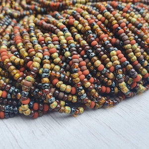 May include: A close-up of a pile of colourful seed beads in shades of brown, orange, yellow, and green. The beads are small and round, and they are arranged in a random pattern.