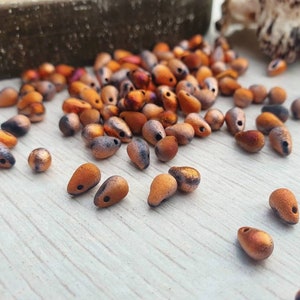 May include: A collection of small, teardrop-shaped beads in a metallic copper color with a matte finish. The beads have a subtle iridescent sheen and are scattered on a light wood surface.