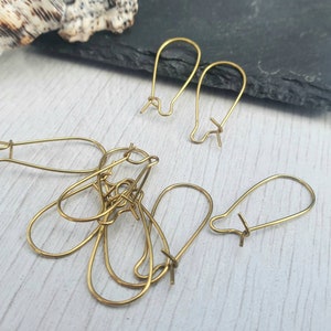 25mm Raw Brass Kidney Ear Wires | 5 Pairs