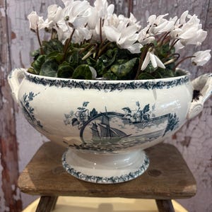 May include: A white ceramic tureen with two handles and a pedestal base, decorated with a blue transferware pattern featuring a sailing ship on the water and floral borders, filled with a cluster of white cyclamen flowers and green leaves.