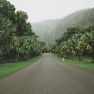 vsco cam lightroom presets