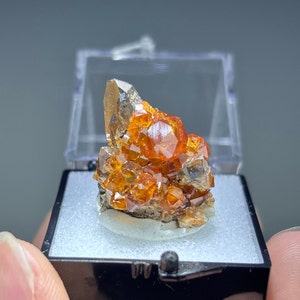 Spessartine Garnet on Smoky Quartz from Fujian, China / Raw Mineral Specimen