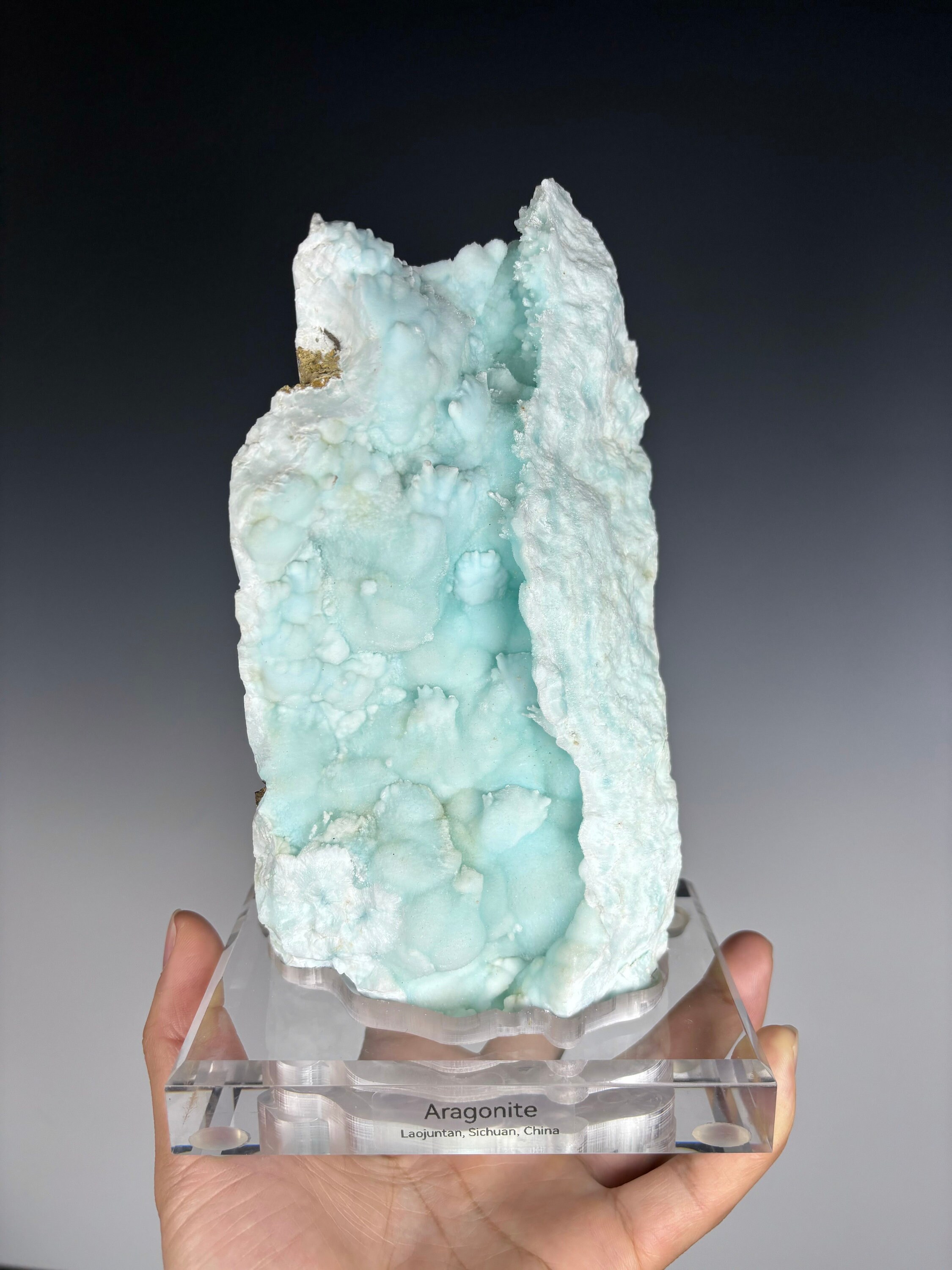 7.5" Blue Aragonite with Botryoidal and Branching from Sichuan, China