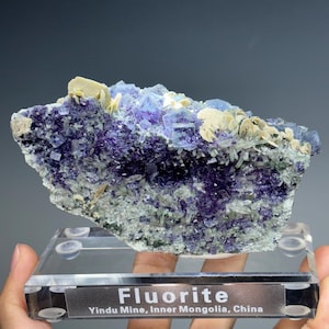 Può includere: Un esemplare di fluorite viola e blu con cristalli bianchi su un supporto di esposizione in acrilico trasparente. L'etichetta recita "Fluorite, Yindu Mine, Mongolia Interna, Cina".