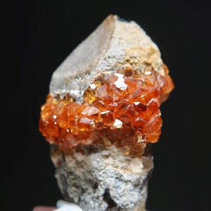 Spessartine Garnet on Smoky Quartz from Fujian, China / Thumbnail Miniature Raw Mineral Specimen