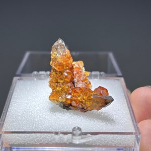 Spessartine Garnet on Smoky Quartz from Fujian, China / Raw Mineral Specimen