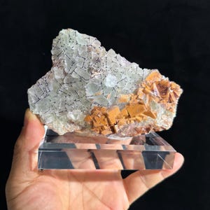 Pode incluir: Um espécime mineral bruto apresentando um aglomerado de cristais cúbicos translúcidos verde-pálidos contrastados por uma seção de cristais cúbicos opacos castanho-dourados. A formação mineral está montada numa base de exposição retangular de acrílico transparente.